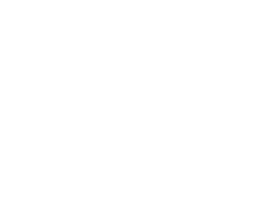 Logo Icon